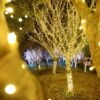 Praznične sitne LED sijalice u više boja – dužina čak 100m - Image 32