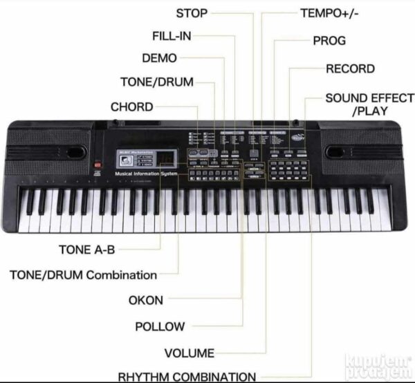 146067125 63b48d93caef79 18646060image - Elektronska klavijatura Sintisajzer za decu – Elektronska klavijatura Sintisajzer za decu Elektronska klavijatura Sintisajzer za decu – Elektronska klavijatura Sintisajzer za decu