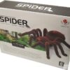 Rc pauk na daljinski tarantula – Rc pauk na daljinski tarantula