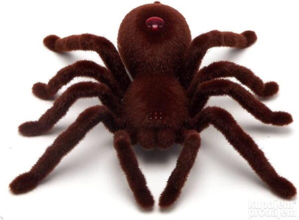 147077506 63d505cb2b6b38 98701276a50842d0 fbed 4 - Rc pauk na daljinski tarantula – Rc pauk na daljinski tarantula Rc pauk na daljinski tarantula – Rc pauk na daljinski tarantula