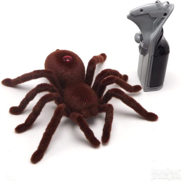 147077506 63d505cb507131 00787329853bddf3 d468 4 - Rc pauk na daljinski tarantula – Rc pauk na daljinski tarantula Rc pauk na daljinski tarantula – Rc pauk na daljinski tarantula