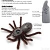 Rc pauk na daljinski tarantula – Rc pauk na daljinski tarantula - Image 4