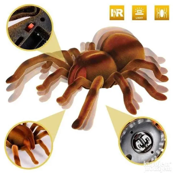 152673809 647bdce025d574 2809198843b235e6 eedb 4 - Pauk Tarantula na daljinski RC pauk Daljinski pauk – Pauk Tarantula na daljinski RC pauk Daljinski pauk Pauk Tarantula na daljinski RC pauk Daljinski pauk – Pauk Tarantula na daljinski RC pauk Daljinski pauk