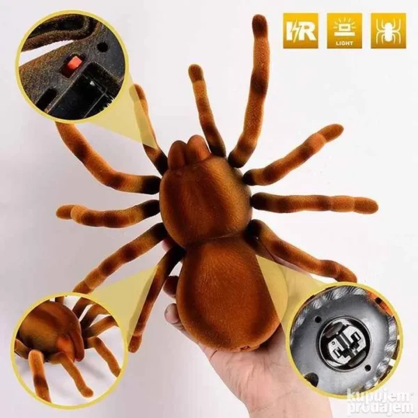 152673809 647bdce0a34297 336062784fb3f728 54b0 4 - Pauk Tarantula na daljinski RC pauk Daljinski pauk – Pauk Tarantula na daljinski RC pauk Daljinski pauk Pauk Tarantula na daljinski RC pauk Daljinski pauk – Pauk Tarantula na daljinski RC pauk Daljinski pauk