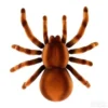 Pauk Tarantula na daljinski RC pauk Daljinski pauk – Pauk Tarantula na daljinski RC pauk Daljinski pauk - Image 4