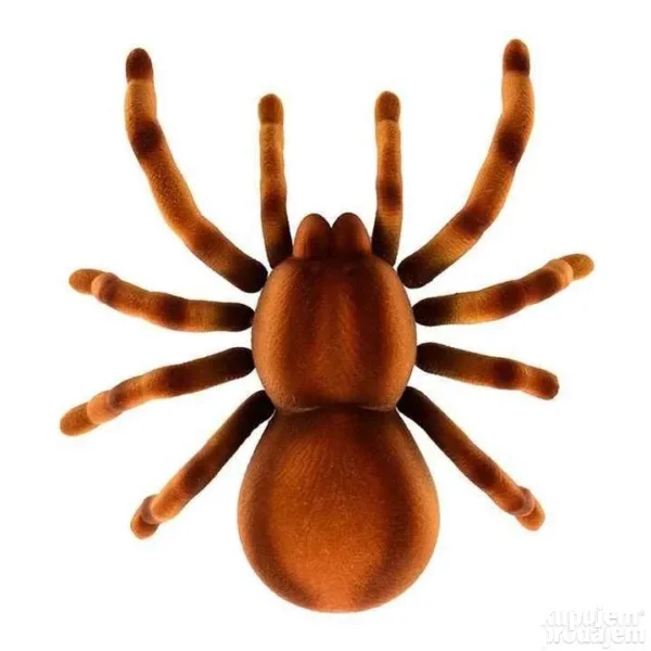 152673809 647bdce10783b0 66585486368614a0 0152 4 - Pauk Tarantula na daljinski RC pauk Daljinski pauk – Pauk Tarantula na daljinski RC pauk Daljinski pauk Pauk Tarantula na daljinski RC pauk Daljinski pauk – Pauk Tarantula na daljinski RC pauk Daljinski pauk