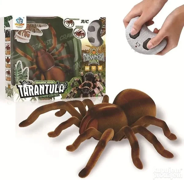 155770263 64e197fa4307d7 585411536b433171 7d67 4 - Tarantula na daljinski – Tarantula na daljinski Tarantula na daljinski – Tarantula na daljinski