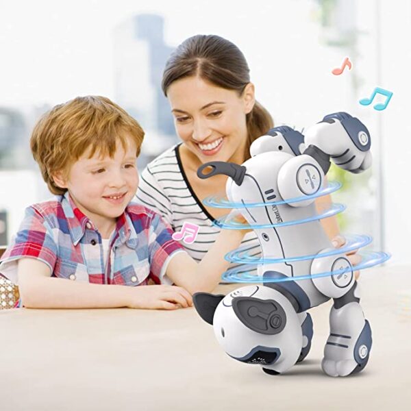 3r3rqr - Pametan pas-robot na daljinsko upravljanje, koji može stajati naopako, prevrnuti se i izvodi zvučne trikove i plesne kombinacije.
