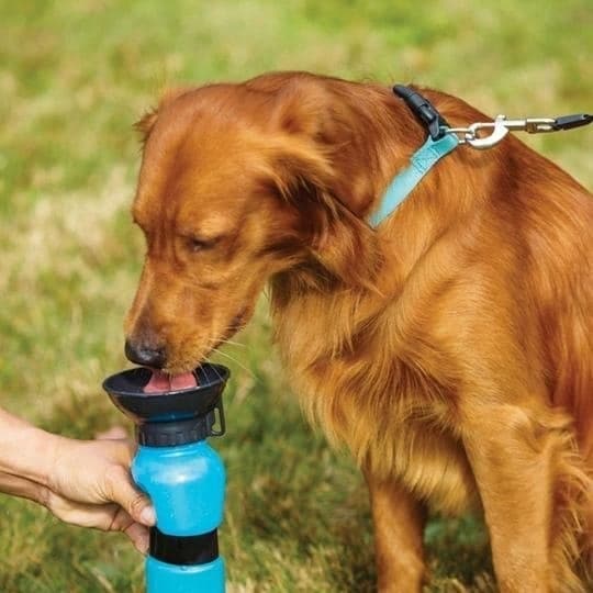 aqua dog specijalna casa za pse 402249 - Aqua Dog Cup je posuda za vodu specijalno dizajnirana za Vašeg kućnog ljubimca! Nju možete nositi svuda sa sobom i obezbediti tečnost svom psu onda kada ožedni.
</p> Laka za poneti, ova fantastična pseća posuda iako na prvi pogled izgleda kao obična sportska flačica omogućava da, bez prosipanja obezbedite svom psu rezervu vode kad god zatreba.
</p> Flašica se napuni vodom i zatvori. Kada je vreme za piće, flašica se stisne i posuda na vrhu se napuni! Kada pustite flašicu, prljava voda se neće vratiti nazad u flašicu.
</p> Prevrnite je i iz nje se neće prosuti voda! Pritisnite i ona će se pojaviti u levkastoj posudi na vrhu! Poput pravog izvora vode, uvek sveža i nezagađena – ona će biti spremna za Vašeg psa kada pritisnete telo boce.
</p> Nosite je sa sobom za vreme šetnje, igranja u parku, na izletima ili za vreme putovanja i ne razmišljajte o tome kako obezbediti vodu ljubiimcu, a ni kako je poslužiti. Sada je sve u jednom fenomenalnom pakovanju!
</p> Ovaj savršeni izum predstavlja sofisticirano rešenje kako da svog psa održavate hidriranim dok se nalazite van kuće. Ljubimci je obožavaju, a i Vi ćete zasigurno!
</p> Karakteristike:
</p> Aqua Dog je specijalno dizajnirana posuda u obliku flašice sa levkastom posudom na vrhu
</p> Omogućava da sa sobom uvek imate rezervu vode u posudi iz koje ljubimac odmah može piti
</p> Iz Aqua Dog posude, voda se ne prosipa – pojavljuje se u činijici na njenom vrhu samo kada jako pritisnete samu bocu
</p> Zapremina je 530 ml
</p> Osobine:
</p> Dimenzije: 21.5 cm x 10.7 cm
</p> Težina: 122g
</p> Materijal: plastika
</p> Kapacitet: 500 ml
</p> Uputstvo za korišćenje:
</p> Flašicu dobro oprati nakon vađenja iz kutije
</p> Odvrnuti vrh flašice i napuniti vodom
</p> Flašicu stisnuti da se voda pojavi u posudi
</p>