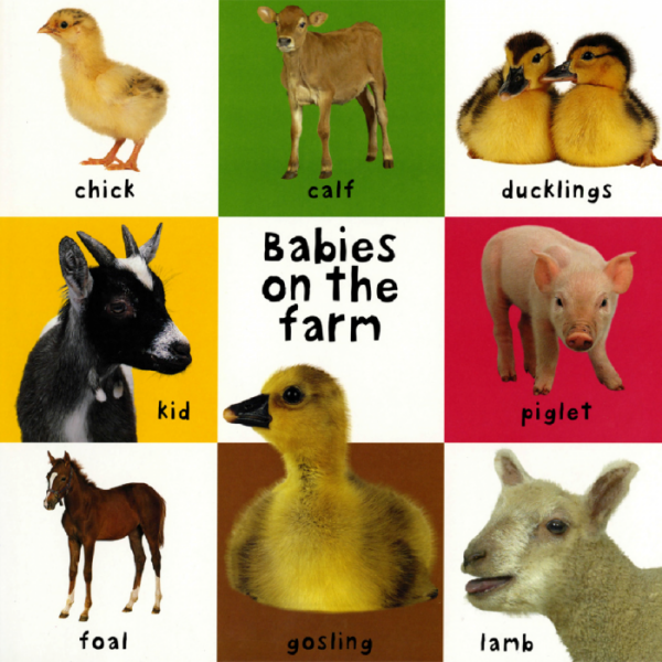 jaowjfj - Njegova interaktivna knjiga na tabli u novoj seriji First 100 Lift-the-Flap je idealna alatka koja pomaže bebama i mališanima da nauče sve o svojim prvim životinjama.