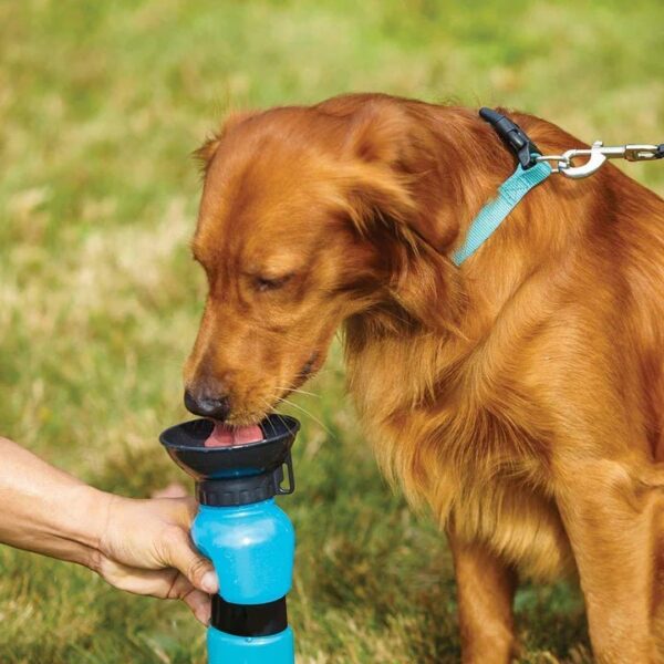 pojilica za pse 907909 - Pojilica za pse i mace je posuda za vodu specijalno dizajnirana za Vašeg kućnog ljubimca!
