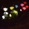 Solarna lampa-Ruža-2kom - Image 8