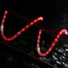 Sijalice u crevu 20m – CRVENA - Image 4